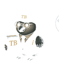 Trusty the Parrot - Your Credit Card Advisor